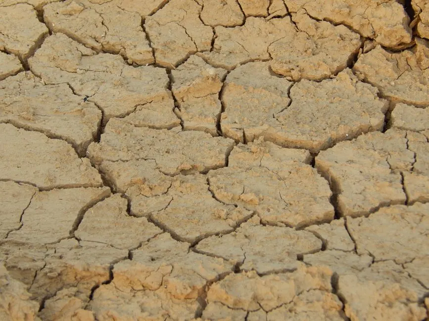 Close-up view of cracked, dry desert earth illustrating drought conditions.