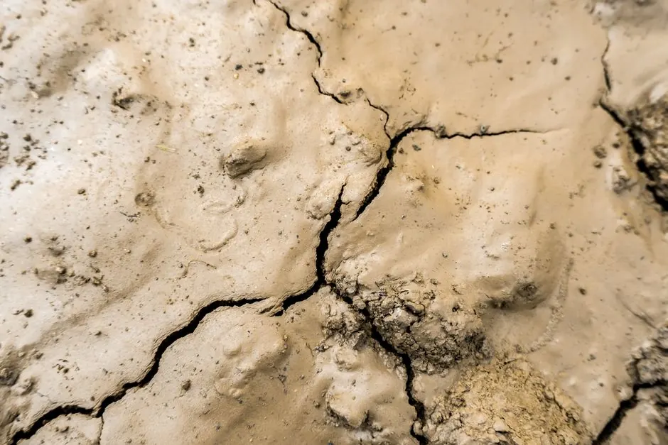 Detailed view of cracked earth texture, highlighting environmental issues like drought and desertification.